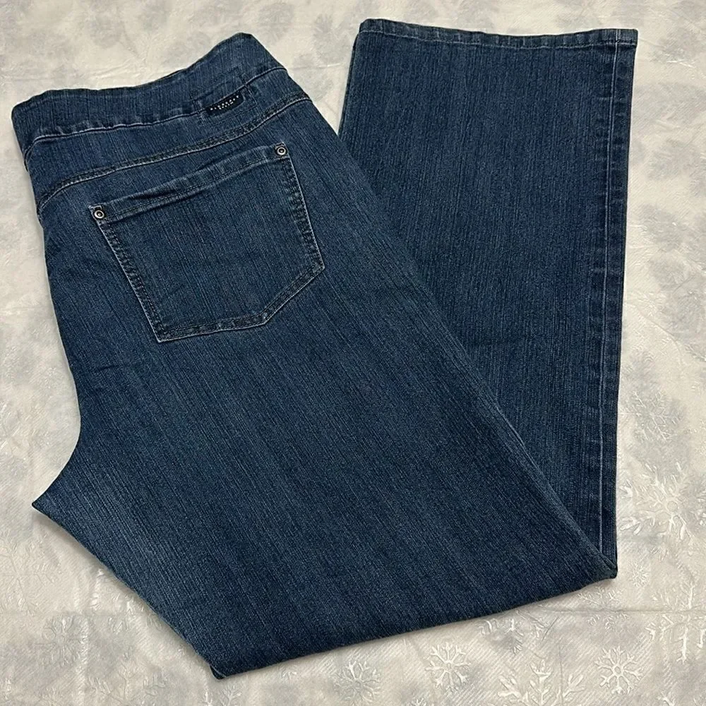 Blueberry women’s denim jeans with elastic waist size 16W